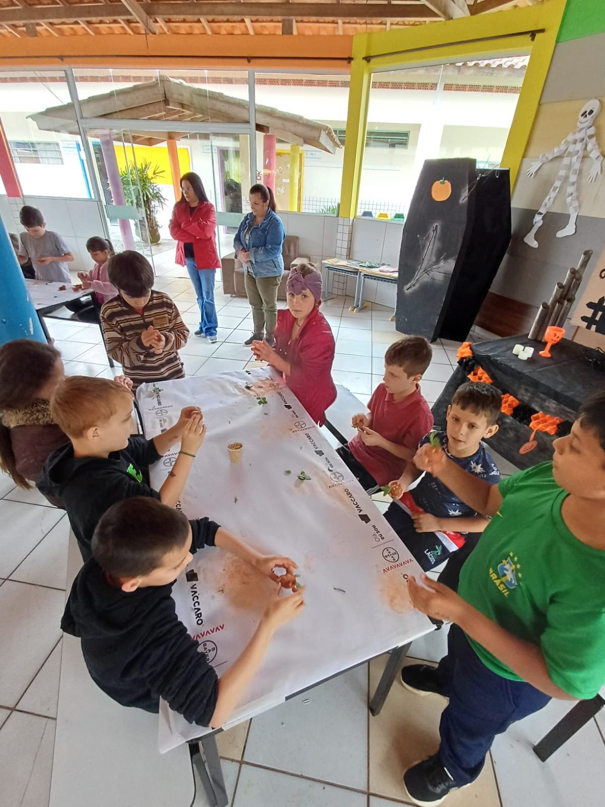 WhatsApp Image 2025-10-29 at 16.25.05 (1) (1)