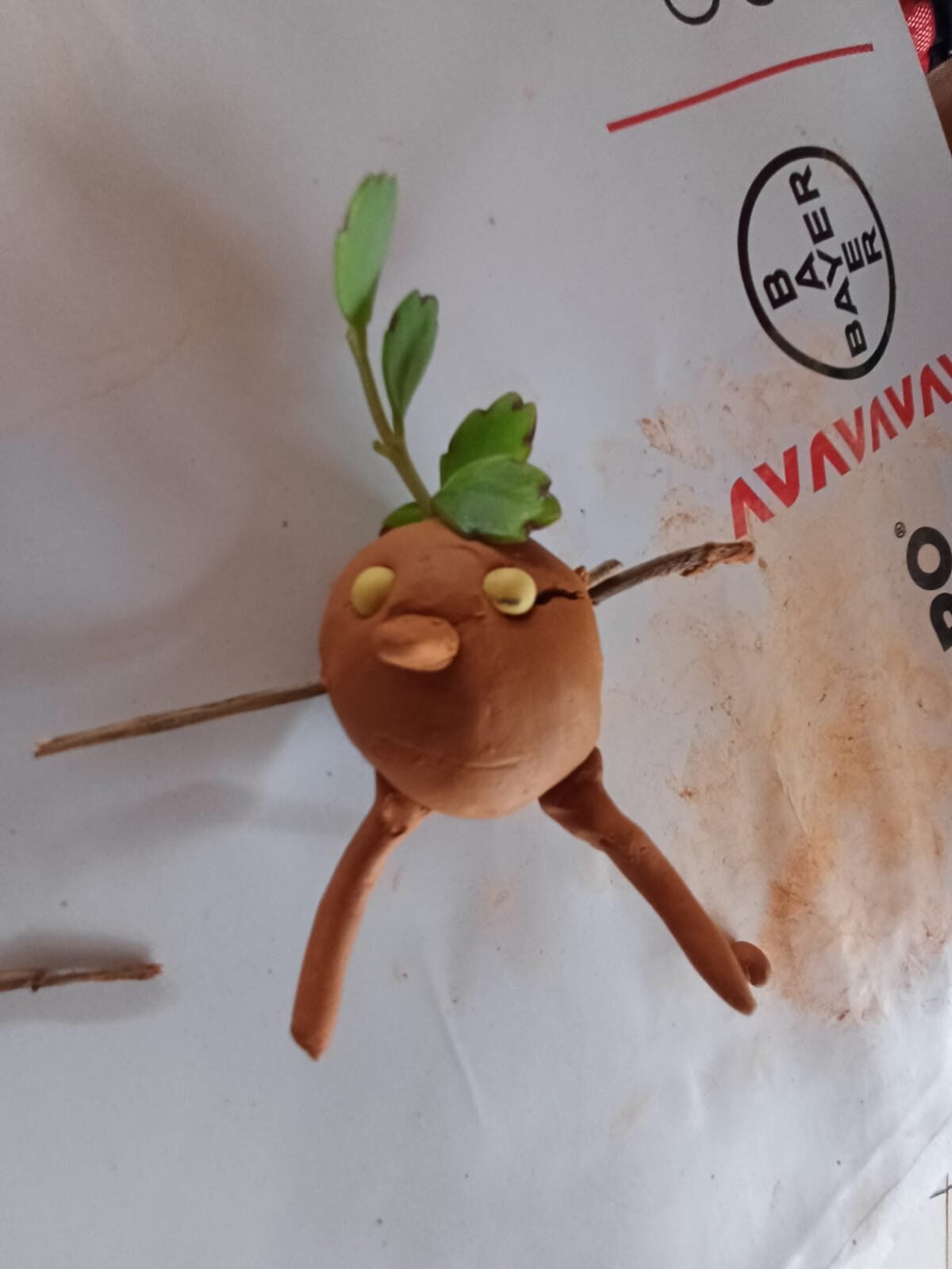 WhatsApp Image 2025-10-29 at 16.25.08 (1) (1)