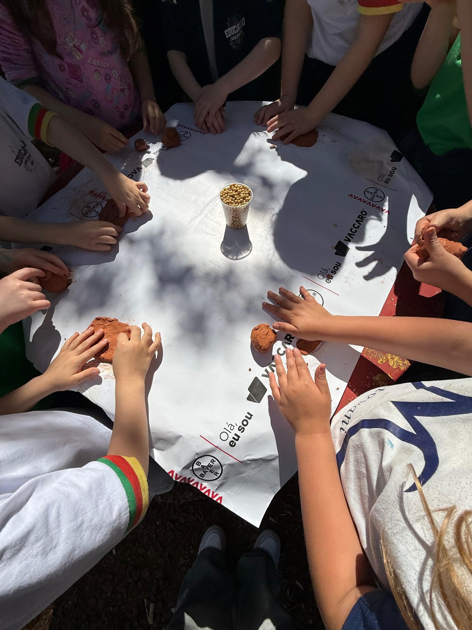 WhatsApp Image 2025-10-31 at 16.05.36 (1) (1)